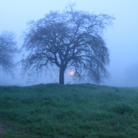 Meet your Posher, ROBERT OLD - Picture 3 of 8